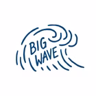 BIG WAVE