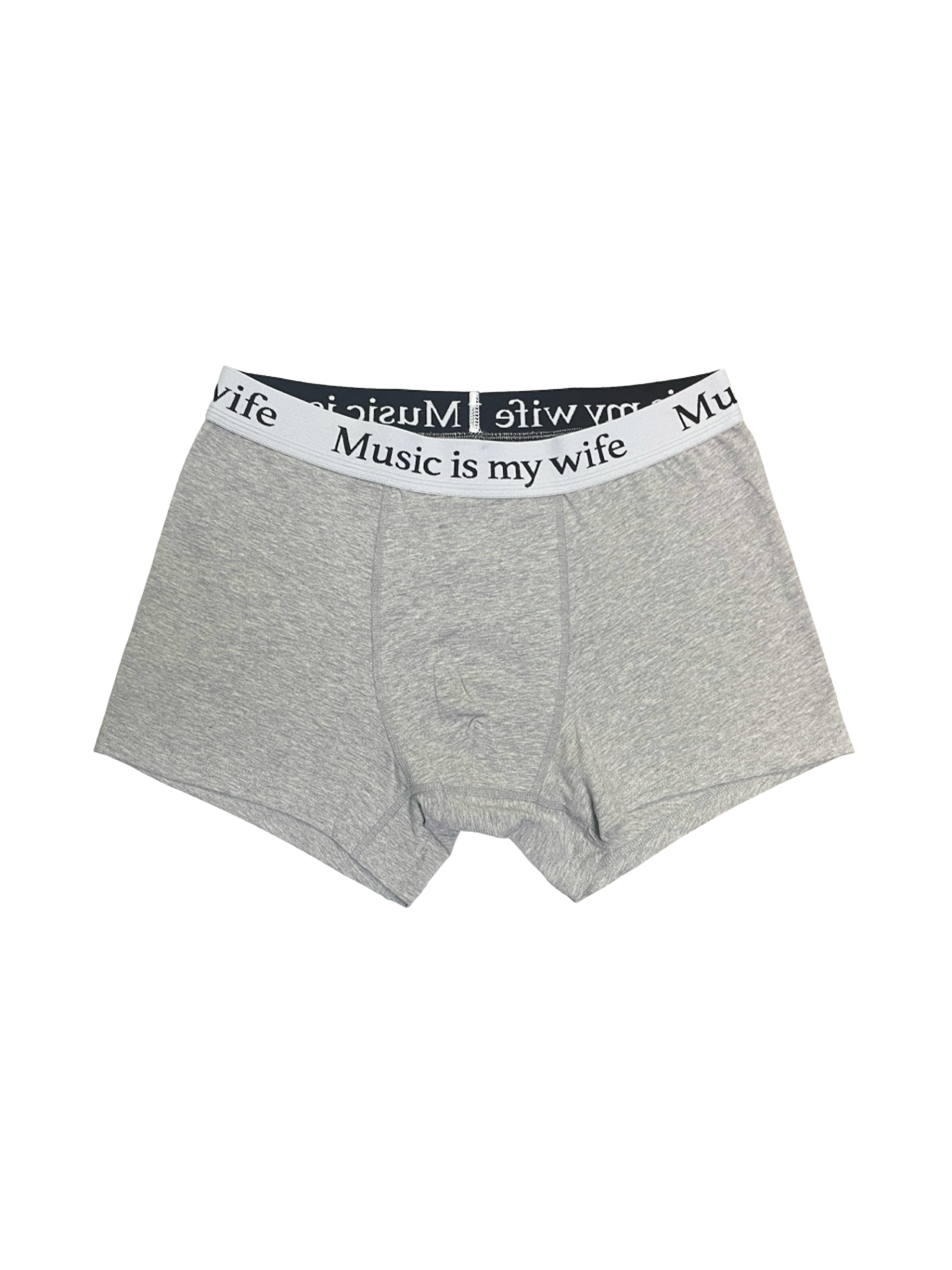 Mosquito Murderers Music is my wife UNDERWEAR Boxer Brief (Gray)