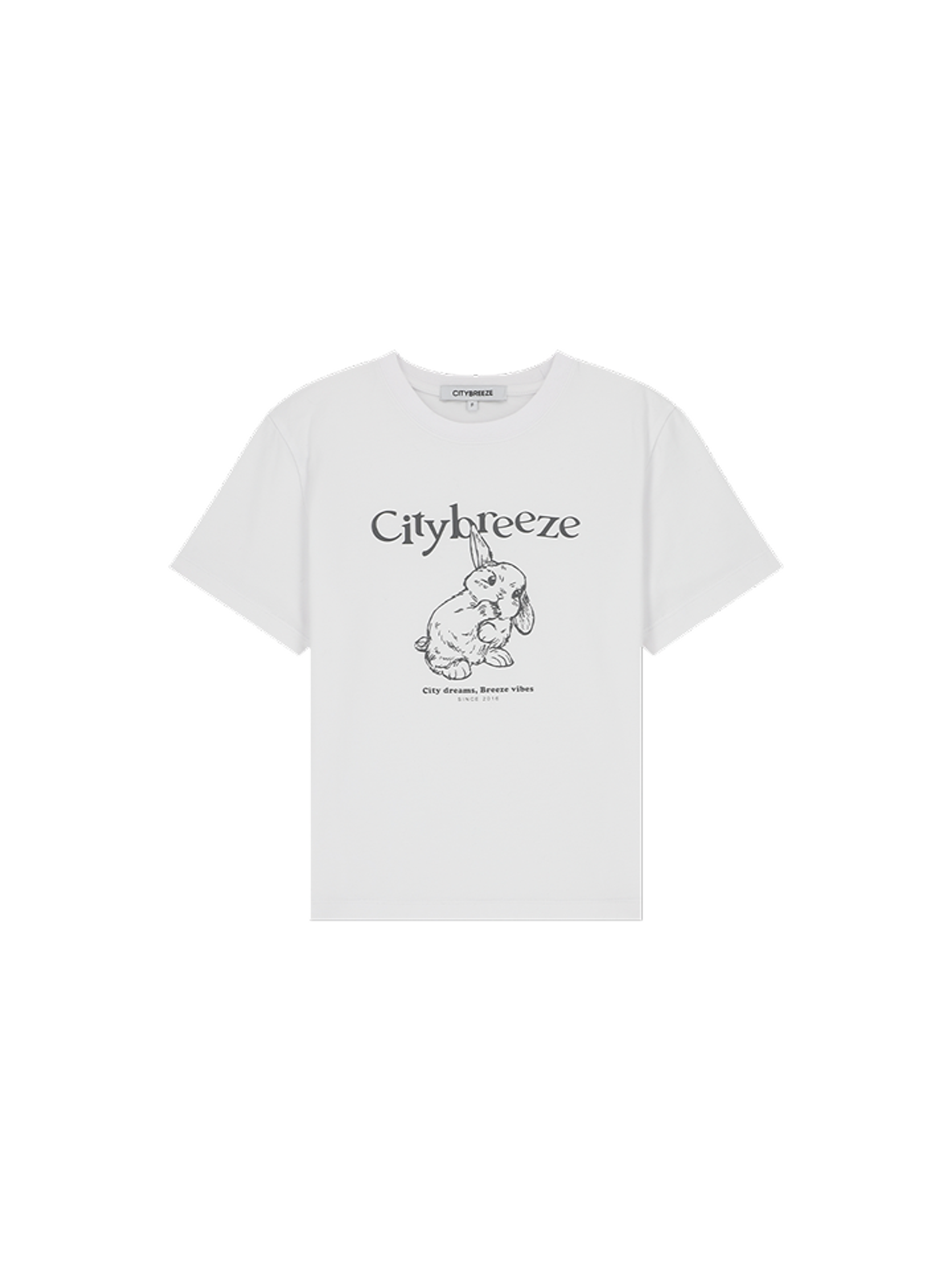 Citybreeze Футболка с графикой City Brisk